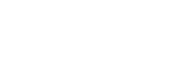FV